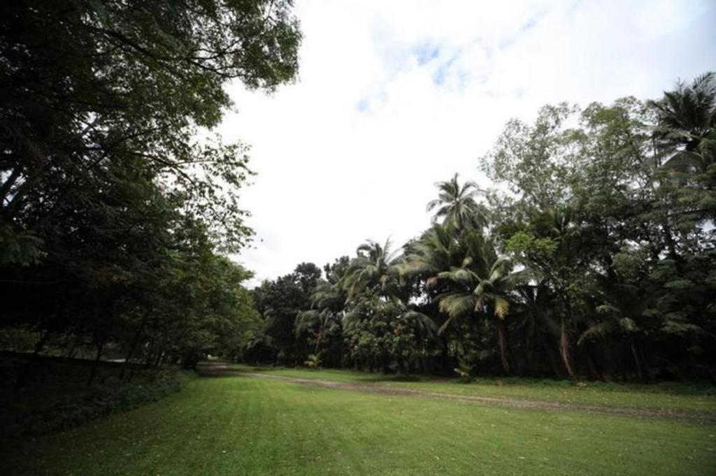 Woodland Hotel Angeles Ngoại thất bức ảnh